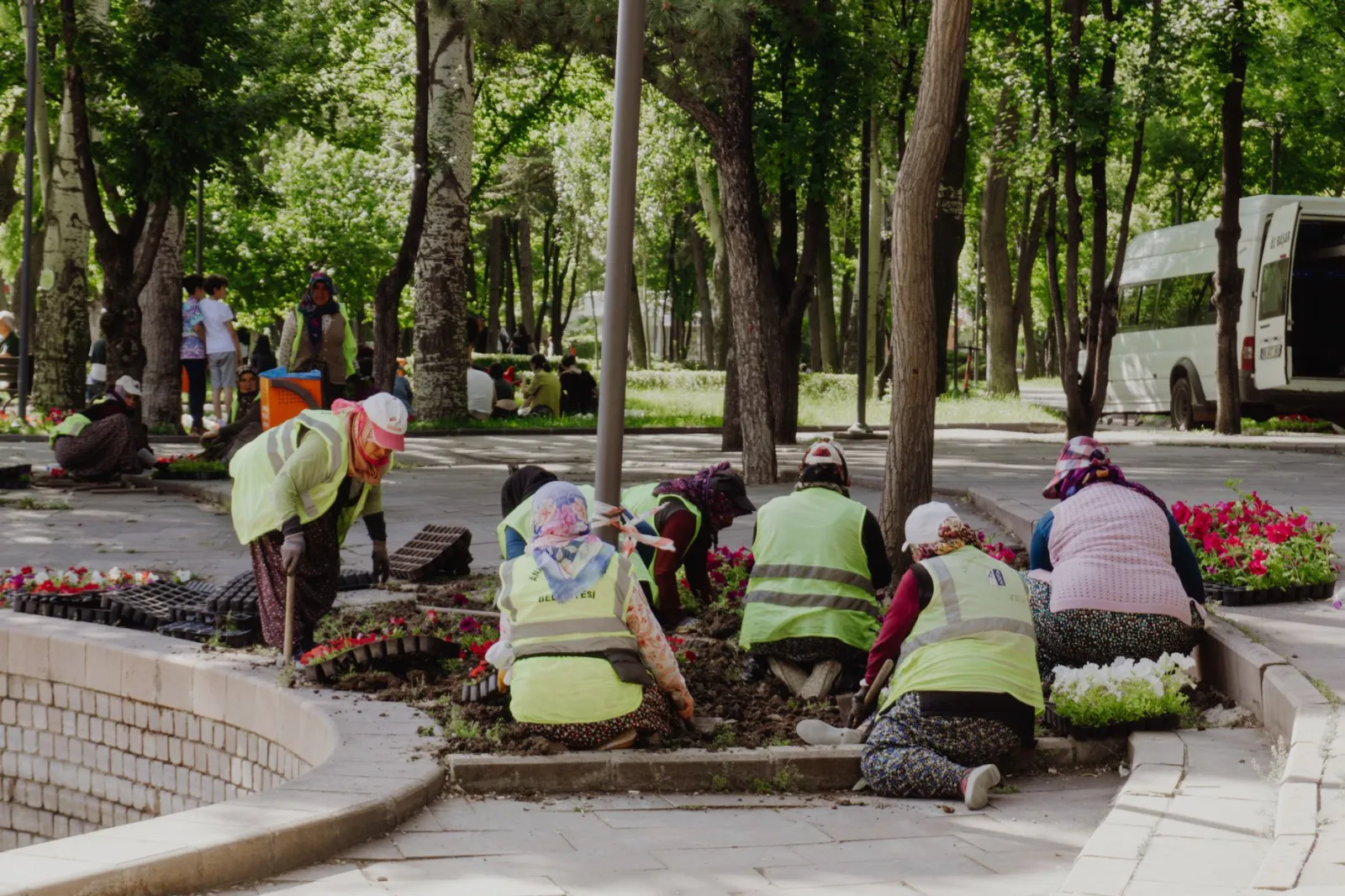 Group of adults planting flowers in a sunny park garden.